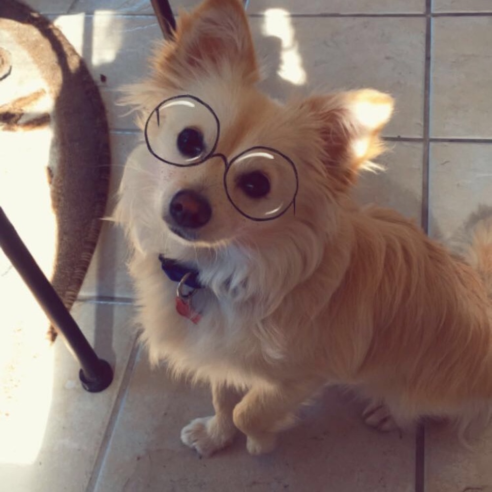 Meet your Posher, Katy